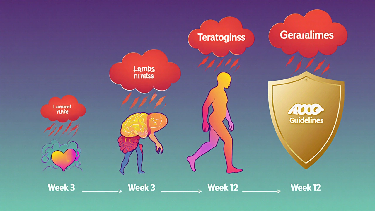 Fetal development timeline showing organ formation under teratogen threat, protected by a golden guideline shield.