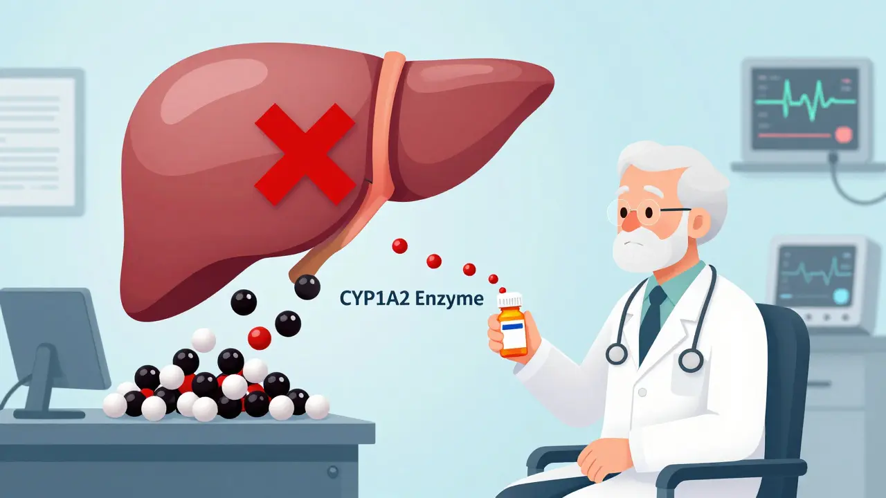 An elderly patient with a liver blocking the enzyme that breaks down theophylline, causing drug buildup and health alerts.